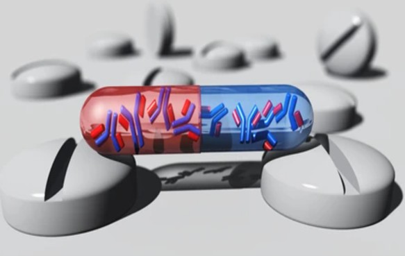 Antibody Capsule Development