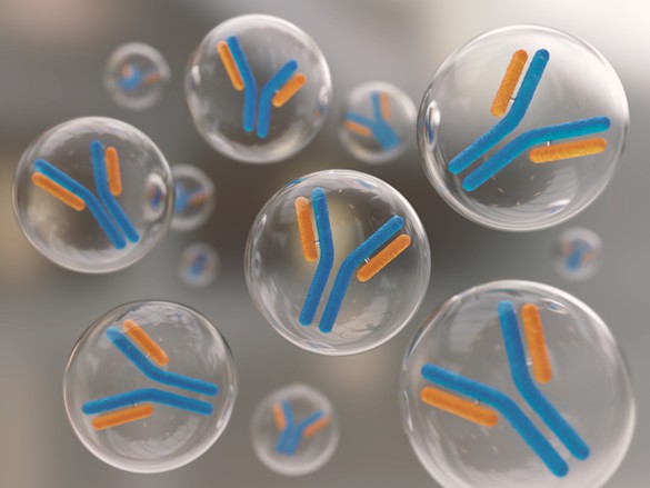 Antibody Nanoparticle Development