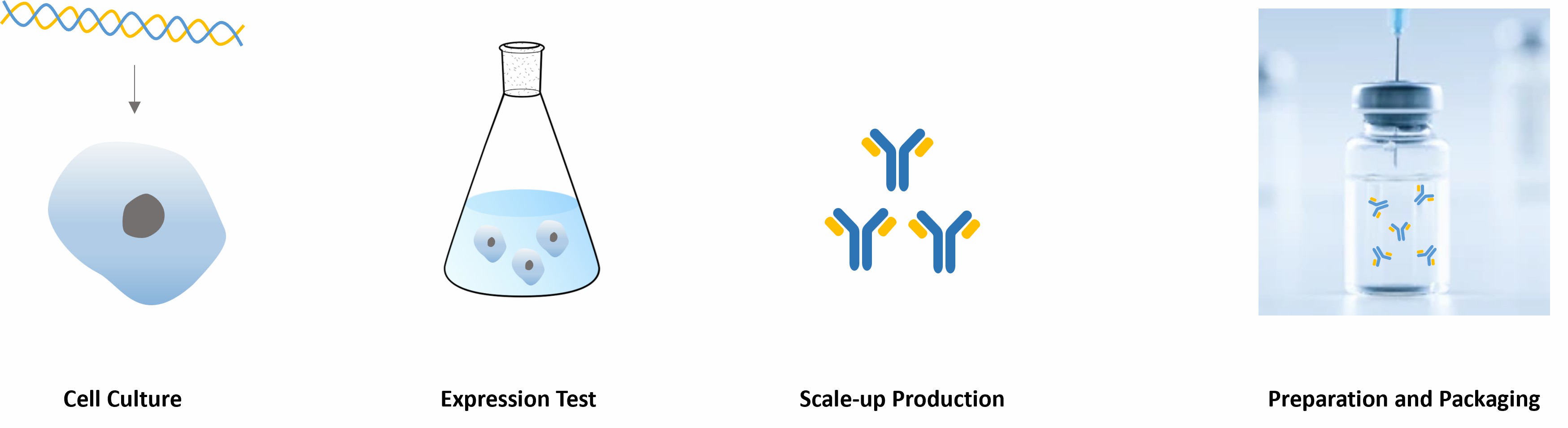 Antibody drug related processes at CD Formulation
