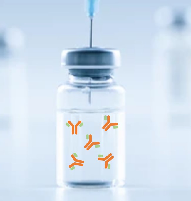 Antibody Formulation Development – CD Formulation