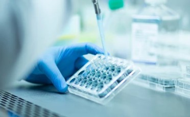 One-stop Solutions for Nucleic Acid Drug Formulation Development