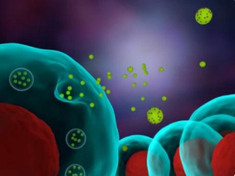 1-11-1-exosome-isolation-and-purification-services-final-1