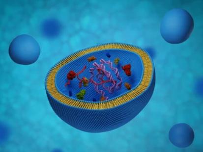 1-11-3-exosome-analysis-services-final-1