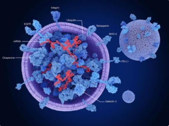 1-11-4-exosome-engineering-services-final-1