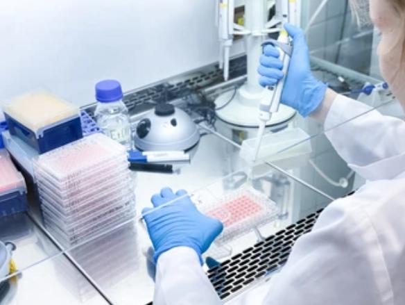 1-11-5-exosome-function-research-services-final-1