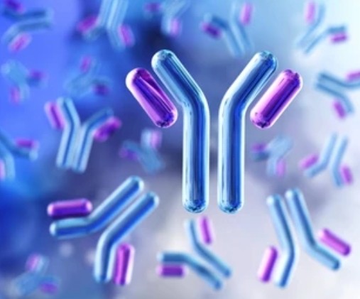 1-11-6-exosome-antibody-development-services-final-1