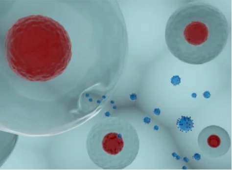 1-11-exosome-services-final-1