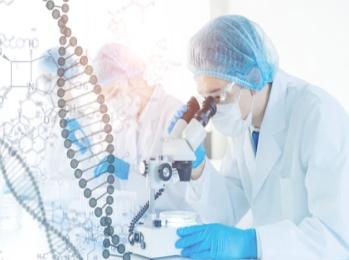 Exosome Analysis Services