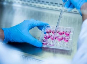 Exosome Function Research Services