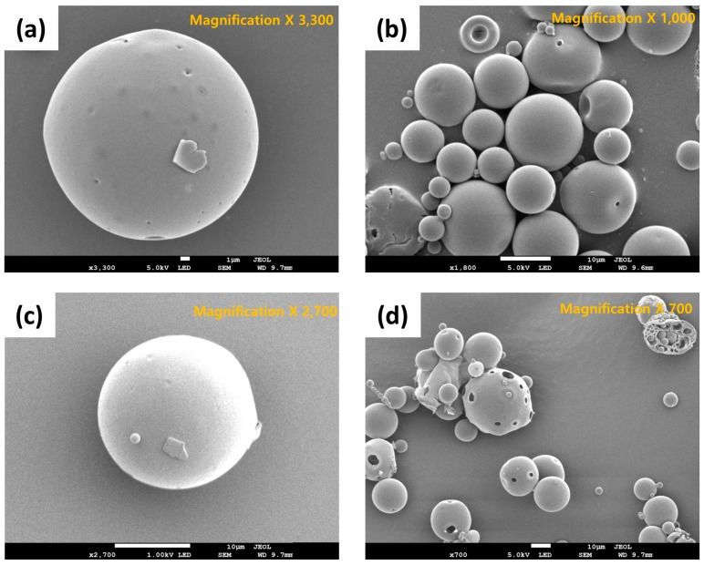 SEM images of peptide loaded PLGA microspheres (Park H.; et al. 2019)
