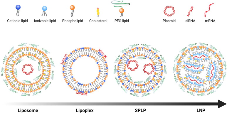 Schematic diagram of the composition of lipid-based nucleic acid delivery systems