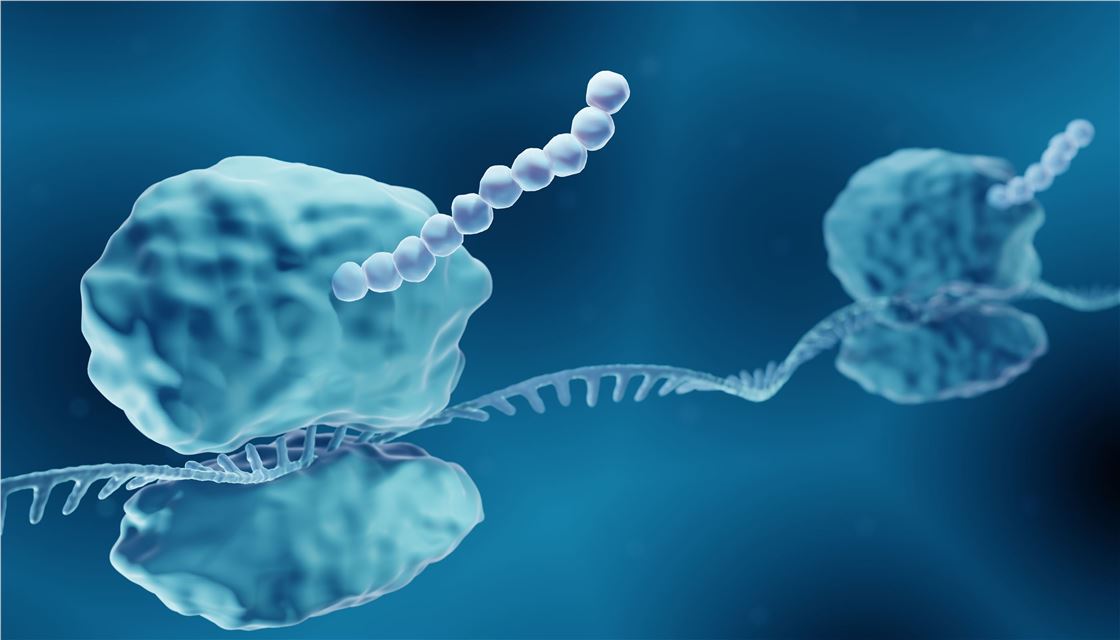 Protein Expression