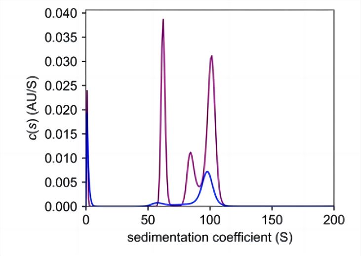 Caged Nanoparticle Characterization