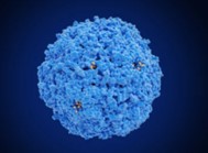 Protein Nanocarriers