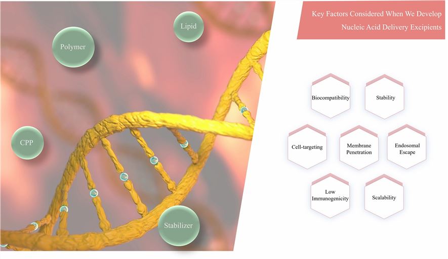 Nucleic Acid Delivery Excipient Customization – CD Formulation