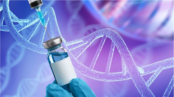 Common Formulation Development