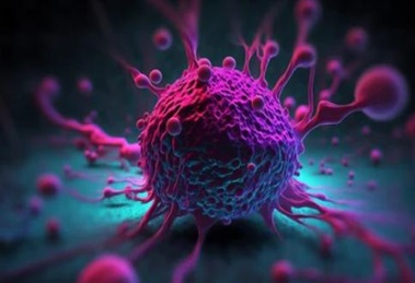 Antibody Drug In Vitro Efficacy Evaluation Services
