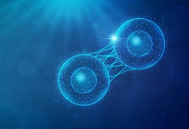 Antibody Drug In Vitro Efficacy Evaluation Services