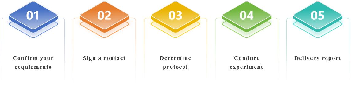 The Process of Our Services