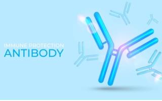 Antibody Preparation Services