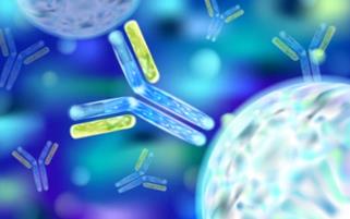 Antibody Preparation Services