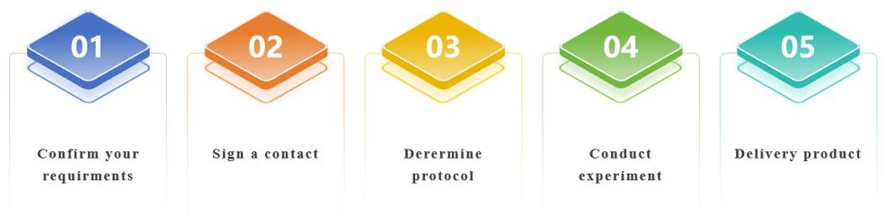 Antibody Preparation Services
