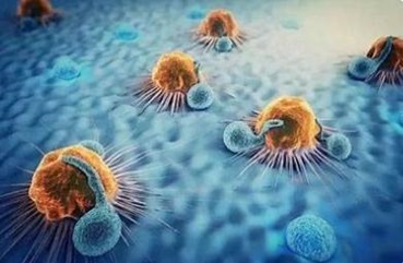 Cell Therapy Development