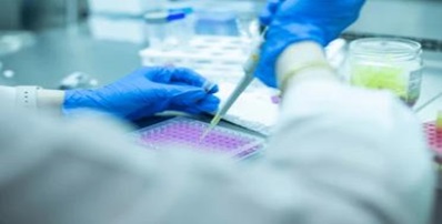 Cell Culture Media Formulation Development