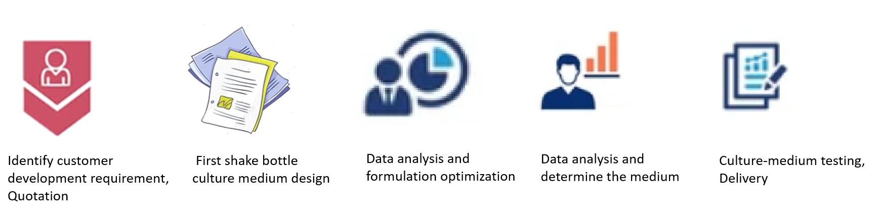 Our Culture Medium Services Process