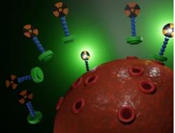 Customized Drug Conjugates Services