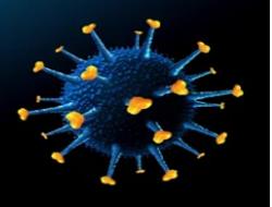 Customized Drug Conjugates Services