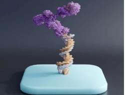 Customized Drug Conjugates Services