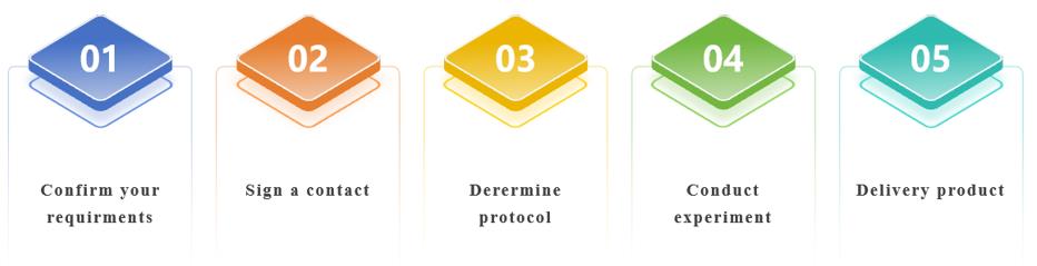 Customized Drug Conjugates Services