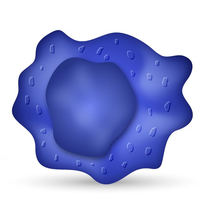 Natural Killer (NK) Cell