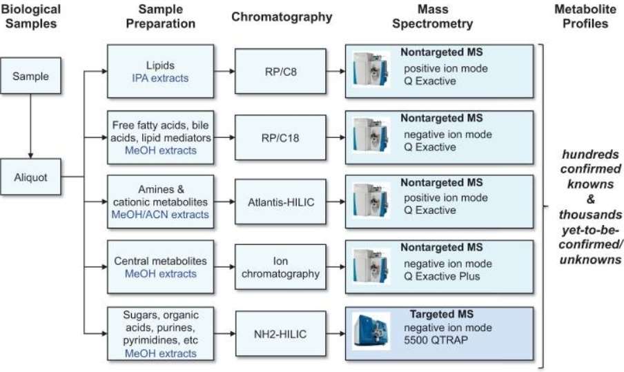 Figure 1-Metabolomics Workflow