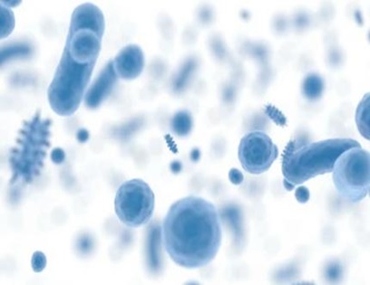Microbiomics Services