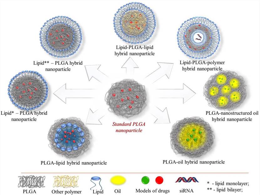 Types of PLGA-lipids hybrid formulations