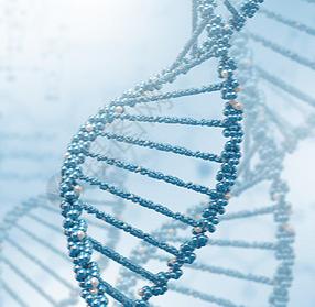 Nucleic Acid Purity Analysis