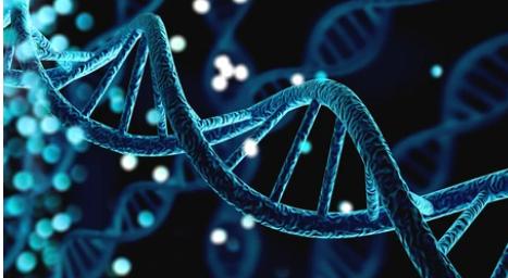 Omics Services