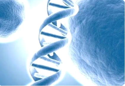 One-stop Solutions for Biomacromolecule Drug Formulation Development