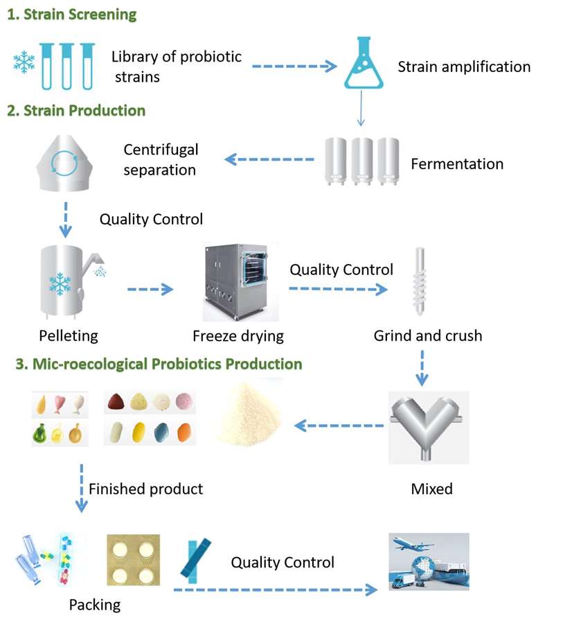 Fig 1. Development process fig of mic-roecological probiotics