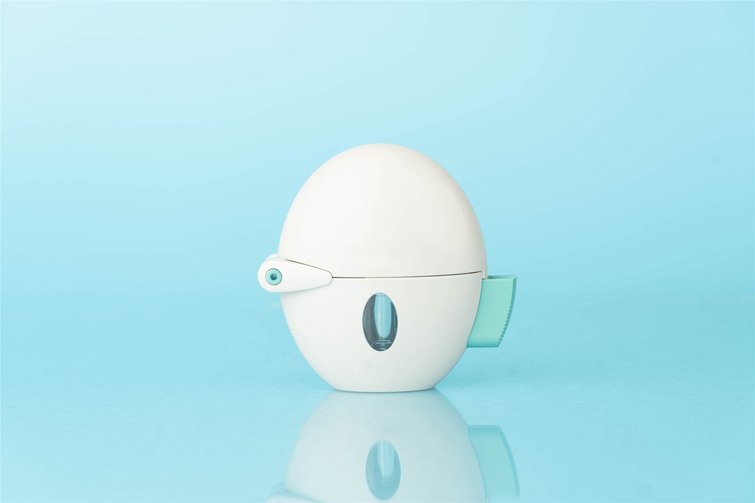 DPI Powder Inhaler (DPI)