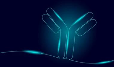 Polyclonal Antibody Preparation Services