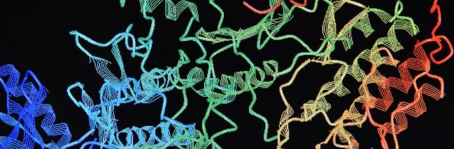 Protein Purity Analysis