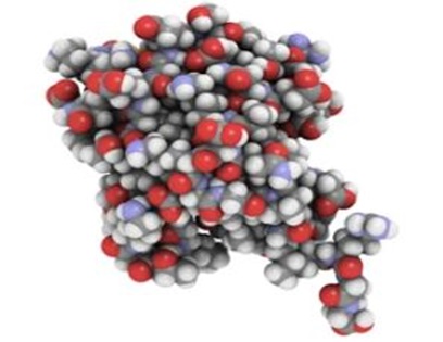 Proteomics Services