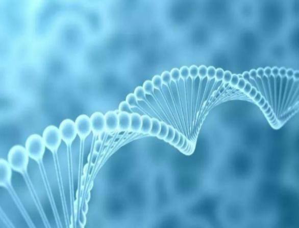Nuclear Acid Purity Analysis