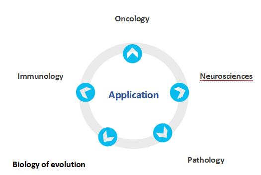 Spatial Transcriptomics Service