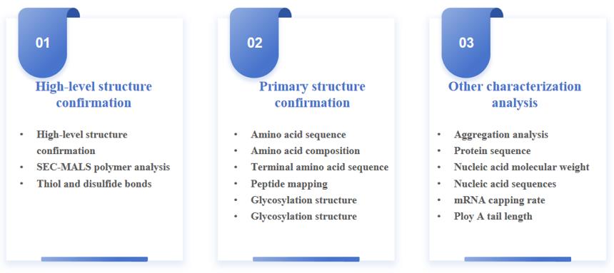 Structural Characterization and Confirmation