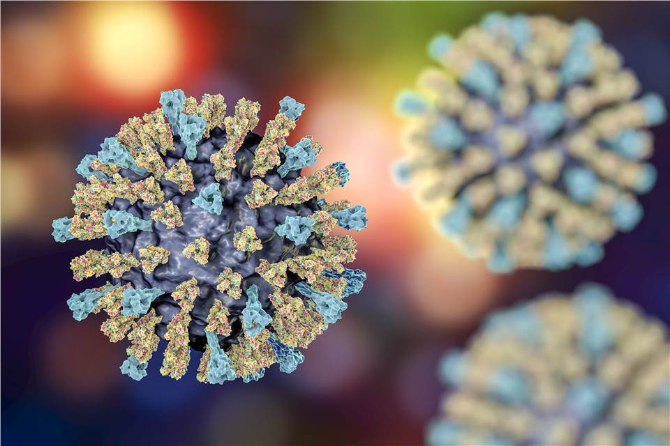 Nucleic Acid Vaccine Development