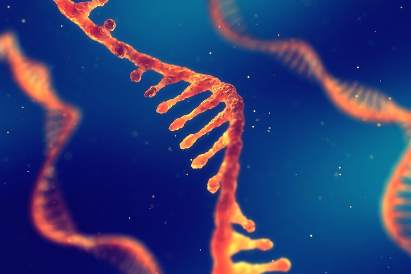 Gene Therapy Development